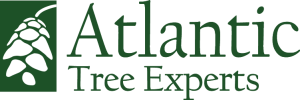 Atlantic Tree Experts