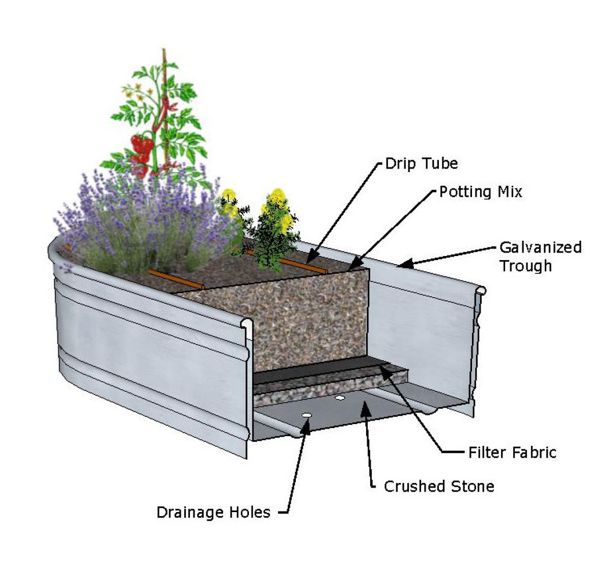 Cross-section of a typical raised garden made from a metal water trough.